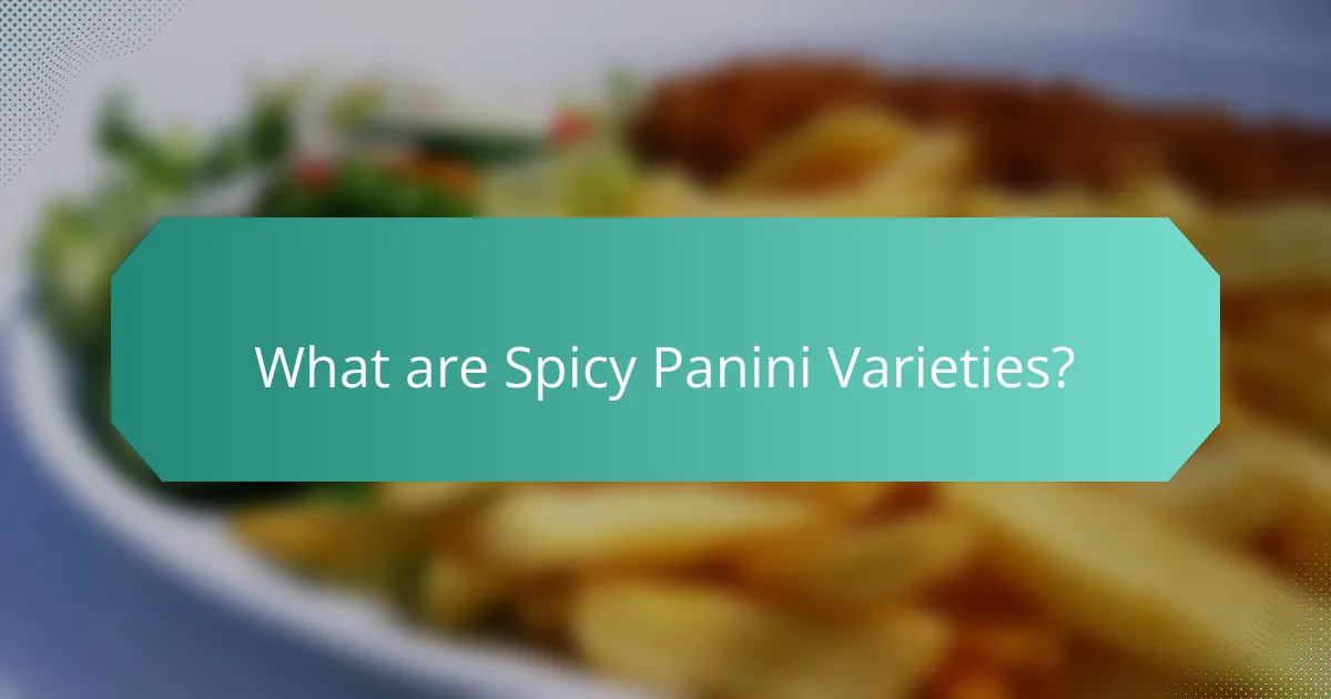 What are Spicy Panini Varieties?