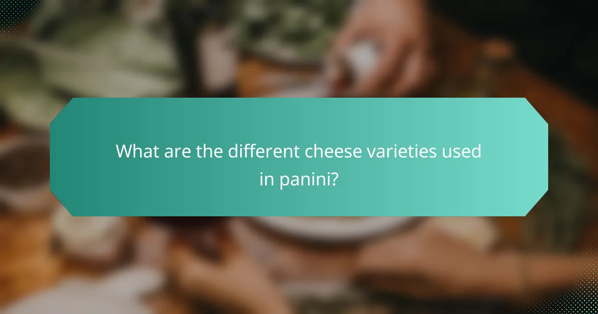 What are the different cheese varieties used in panini?