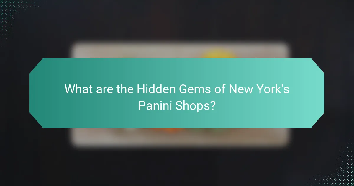 What are the Hidden Gems of New York's Panini Shops?