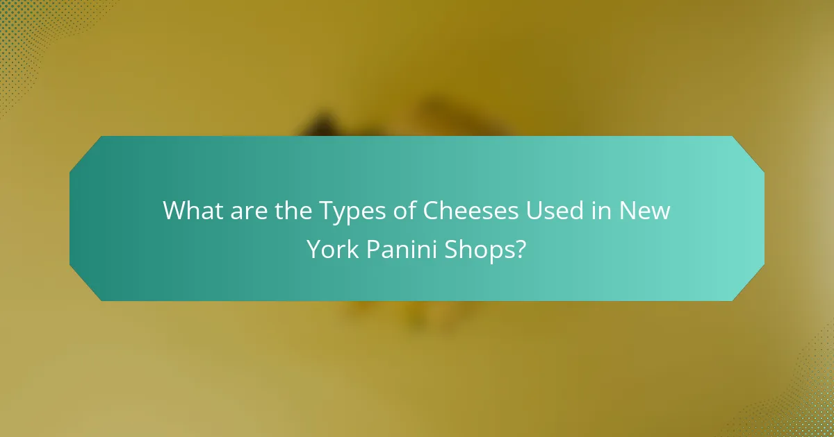 What are the Types of Cheeses Used in New York Panini Shops?