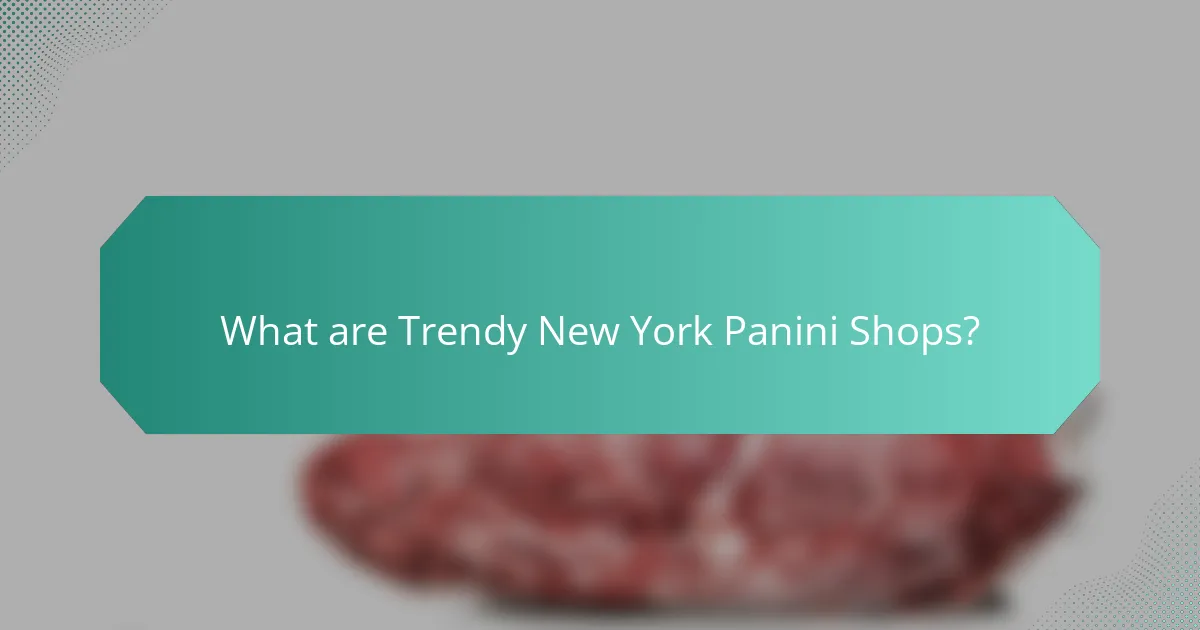 What are Trendy New York Panini Shops?