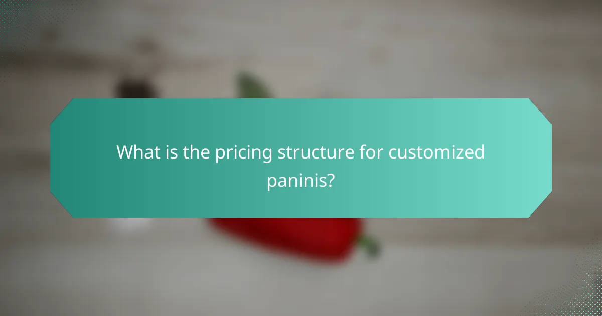 What is the pricing structure for customized paninis?