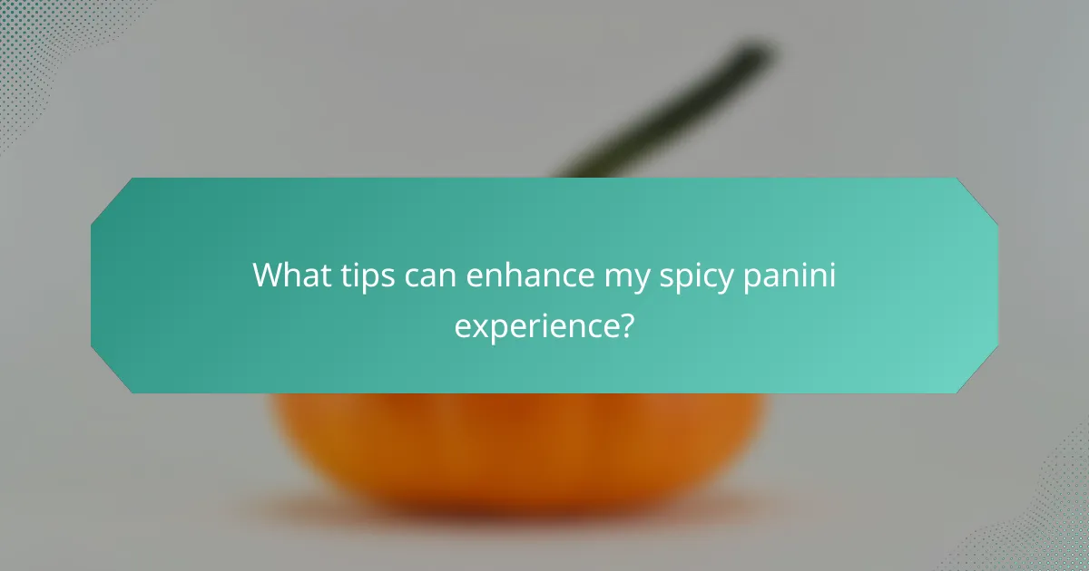 What tips can enhance my spicy panini experience?
