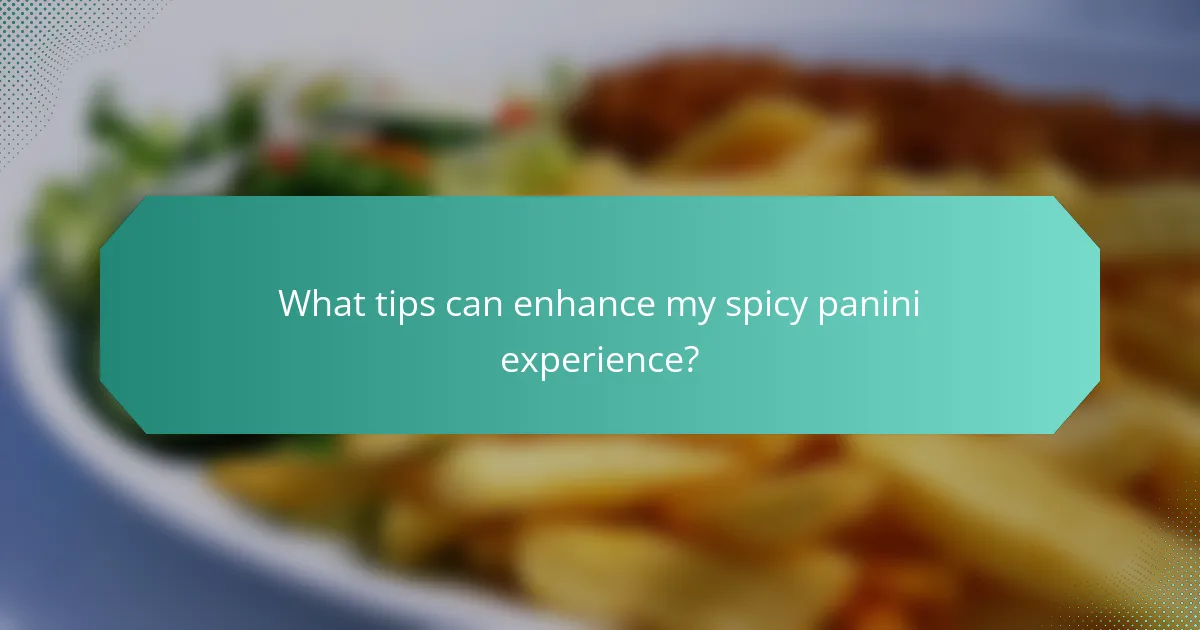 What tips can enhance my spicy panini experience?